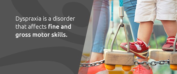 Dyspraxia Is A Disorder That Affects Fine And Gross Motor Skills.