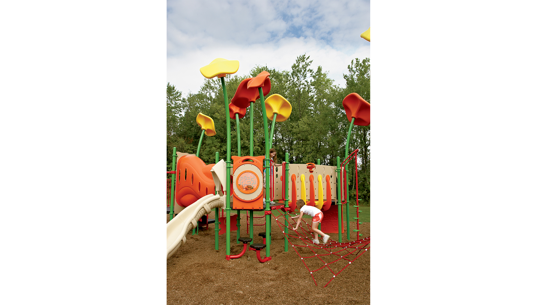 ZZPM9849 - Web Image 1