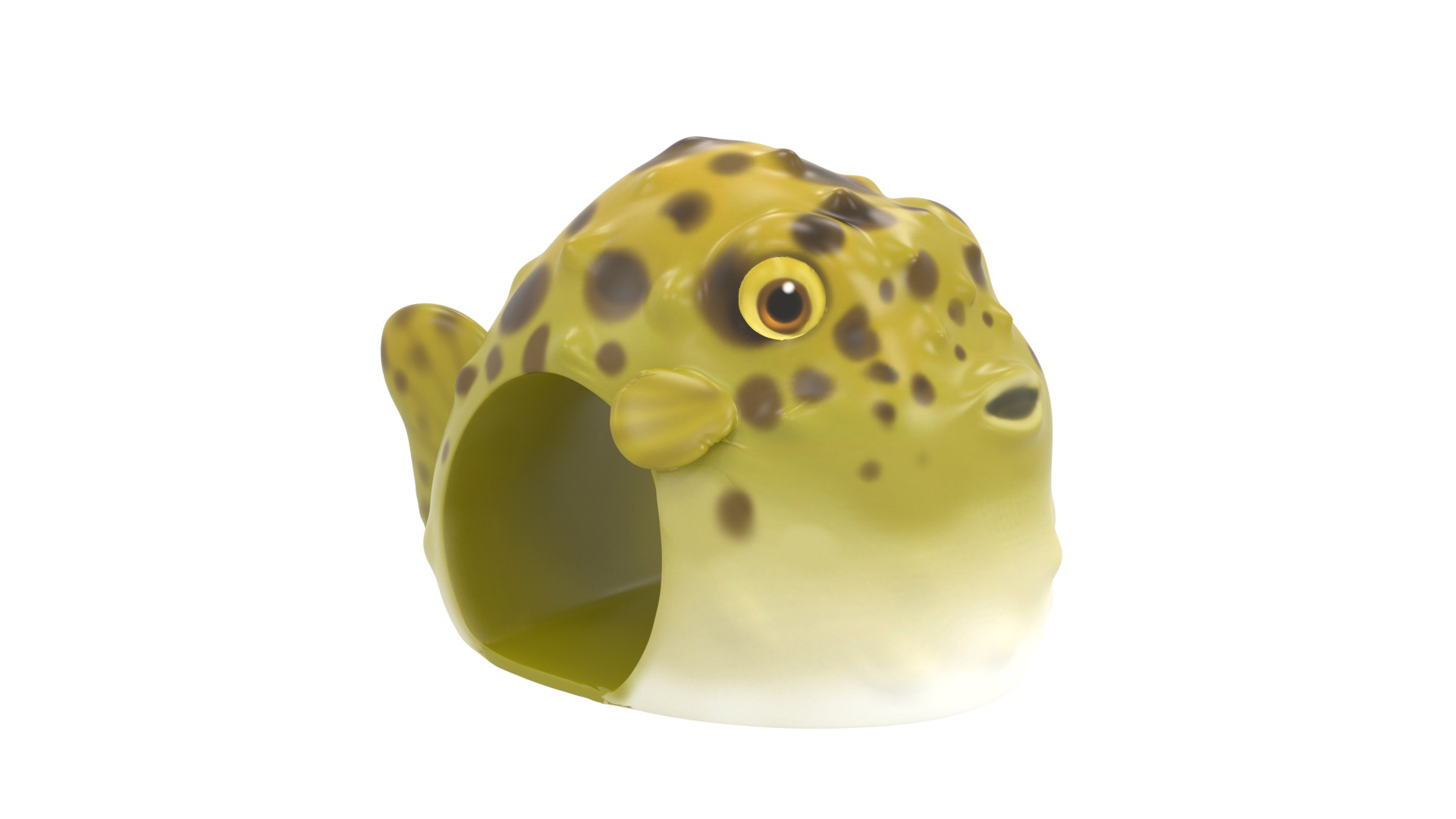 ZZTP2443 - Web Image 1